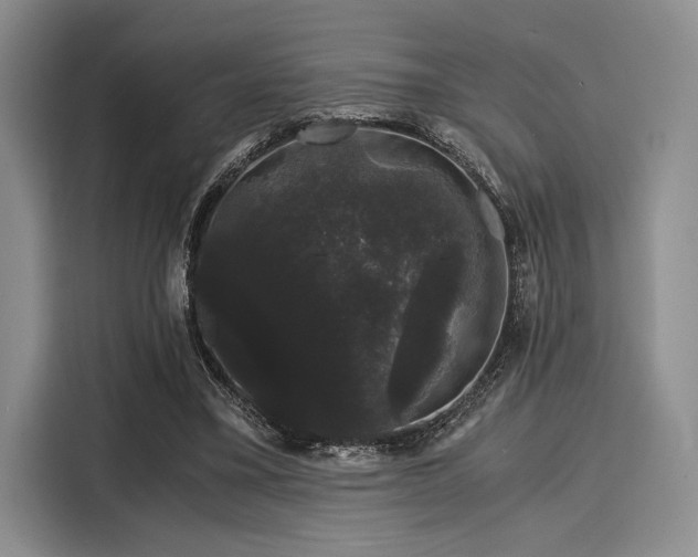 X0000116120395200911301331