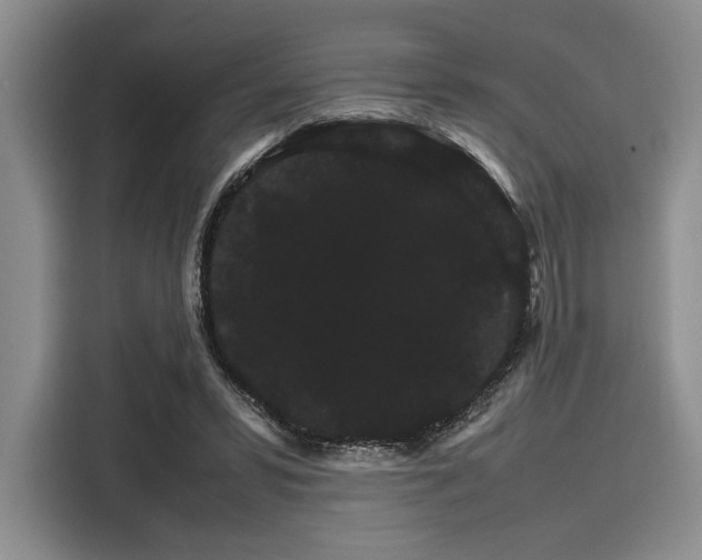 X0000116120399200911301331