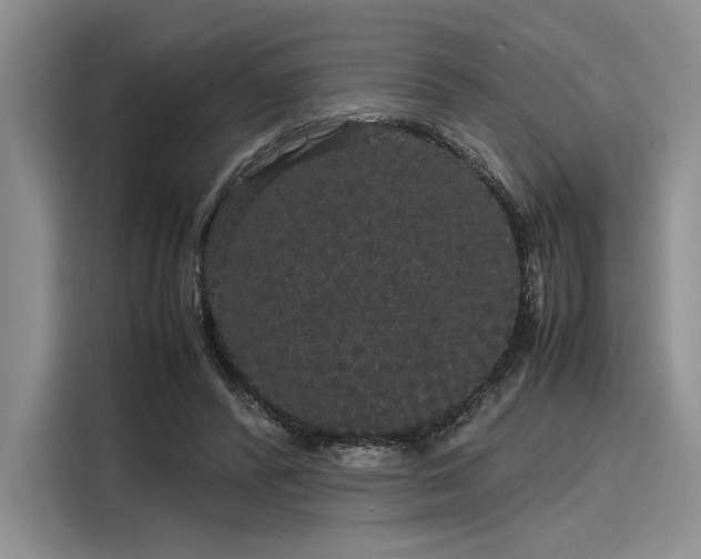 X0000116120400200911301331