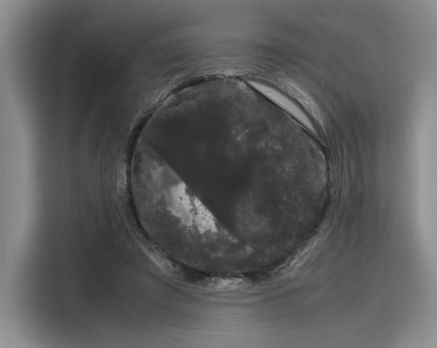 X0000116120401200911301331