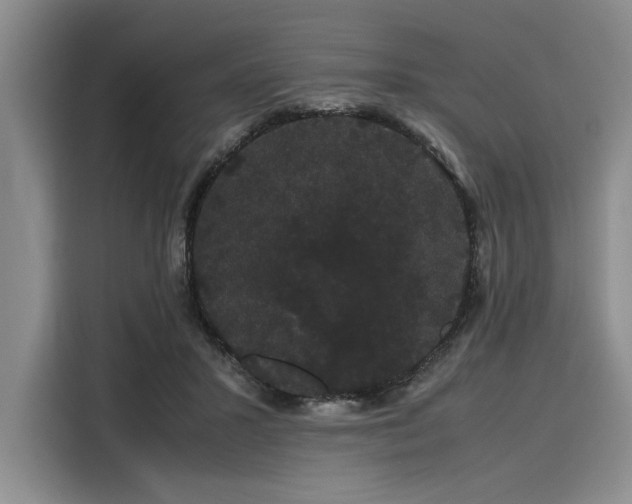 X0000116120407200911301331