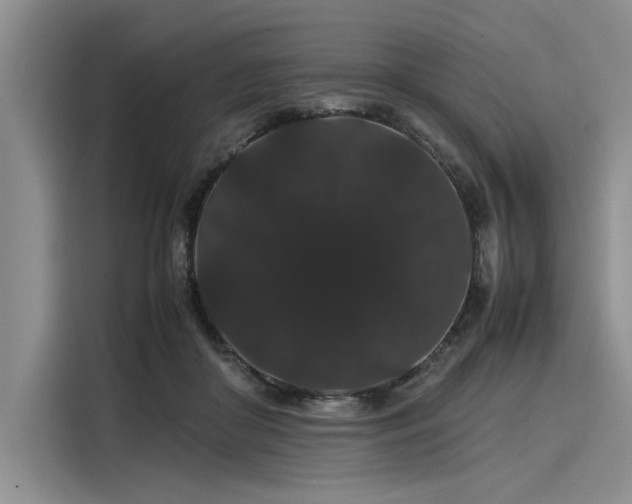 X0000116120410200911301331