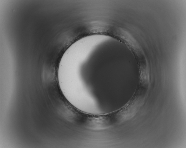 X0000116120411200911301331