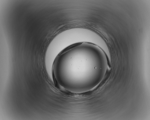 X0000116120413200911301331