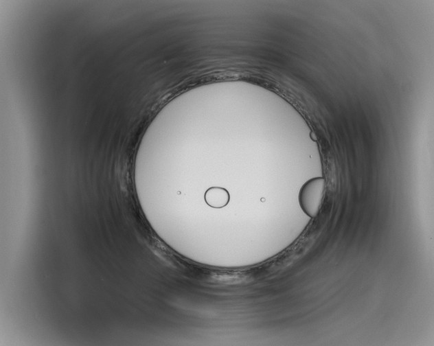 X0000116120414200911301331