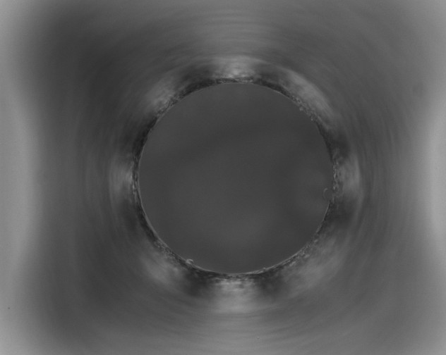 X0000116120415200911301331