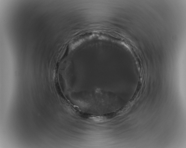 X0000116120417200911301331