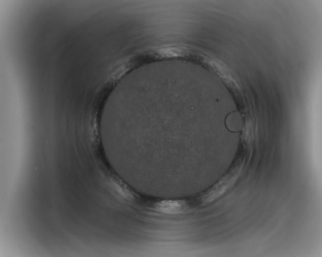 X0000116120418200911301331