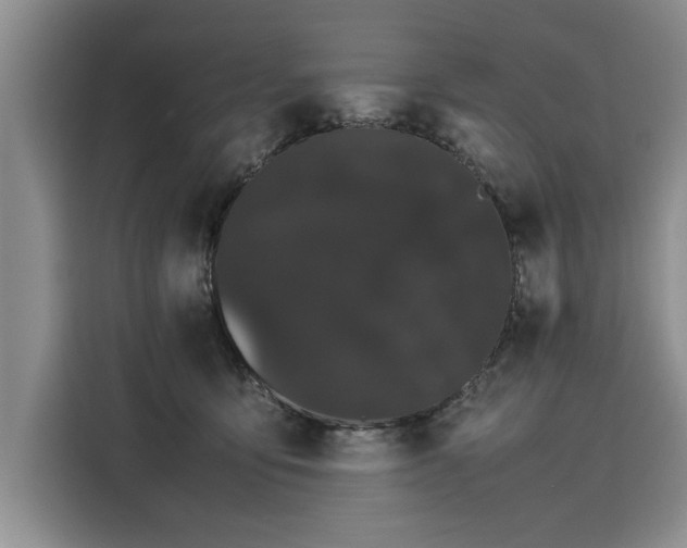 X0000116120419200911301331