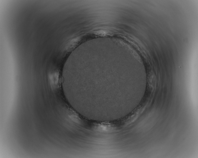 X0000116120420200911301331