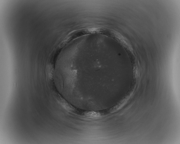 X0000116120421200911301331