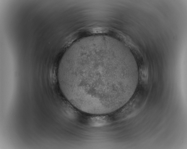 X0000116120422200911301331