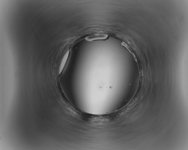 X0000116120423200911301331