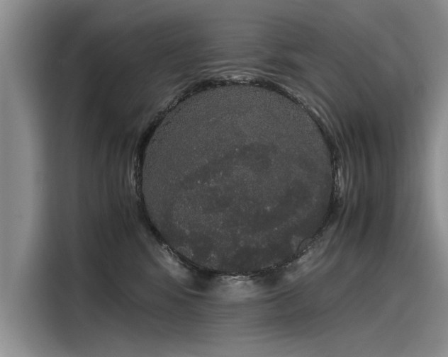 X0000116120424200911301331