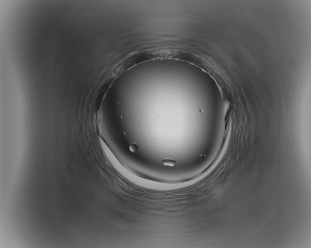 X0000116120425200911301331