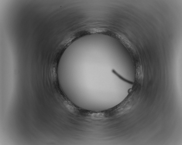 X0000116120426200911301331