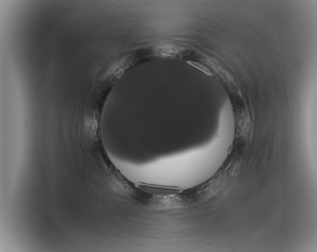 X0000116120427200911301331