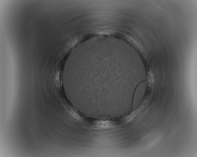 X0000116120428200911301331