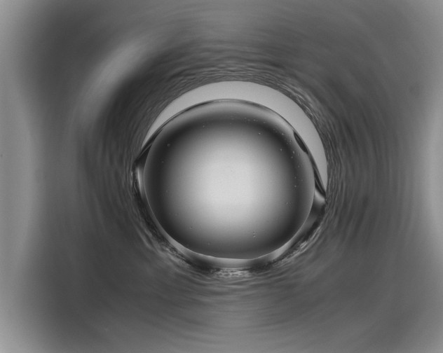 X0000116120429200911301331