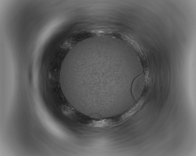 X0000116120430200911301331