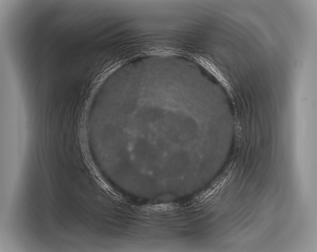 X0000116120433200911301330