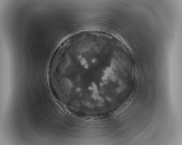 X0000116120434200911301330