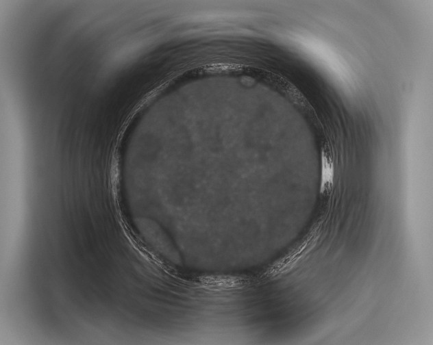 X0000116120435200911301330