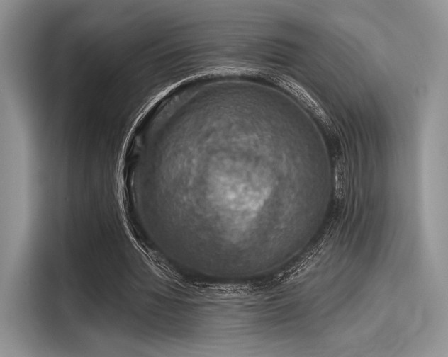 X0000116120436200911301330