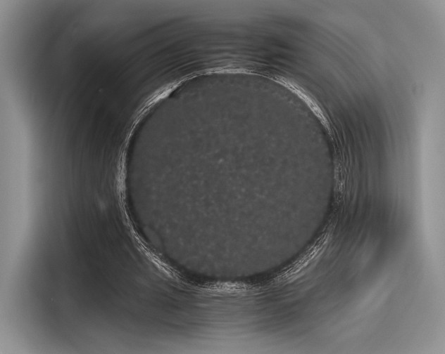 X0000116120437200911301330