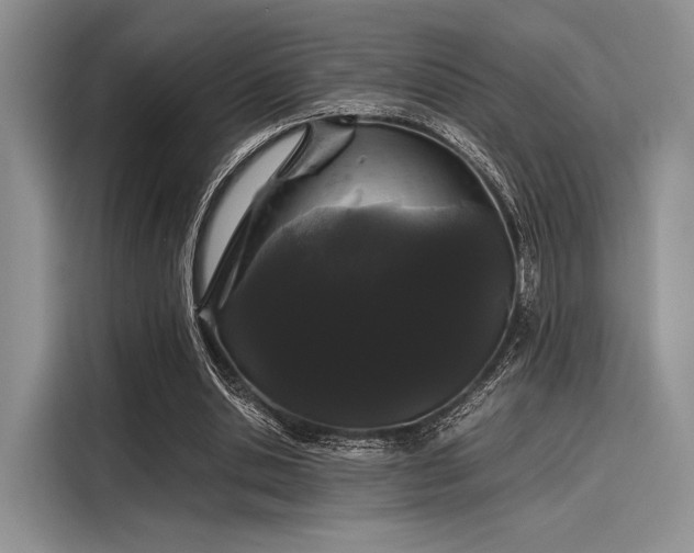 X0000116120438200911301330