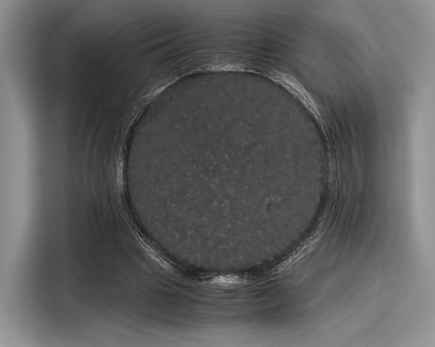 X0000116120441200911301330