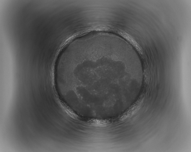 X0000116120442200911301330