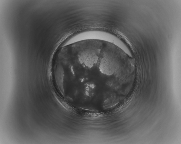 X0000116120443200911301330