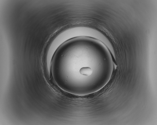 X0000116120444200911301330