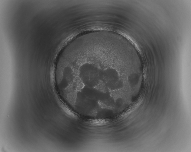 X0000116120445200911301330