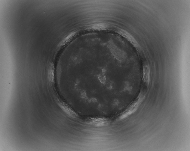 X0000116120446200911301330