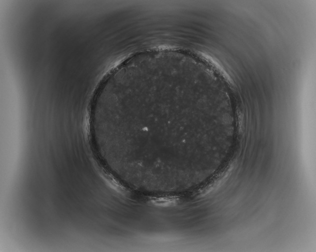 X0000116120447200911301330