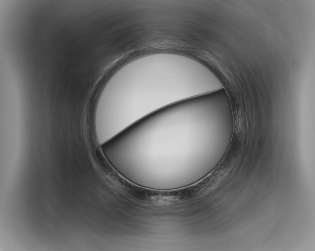 X0000116120448200911301330