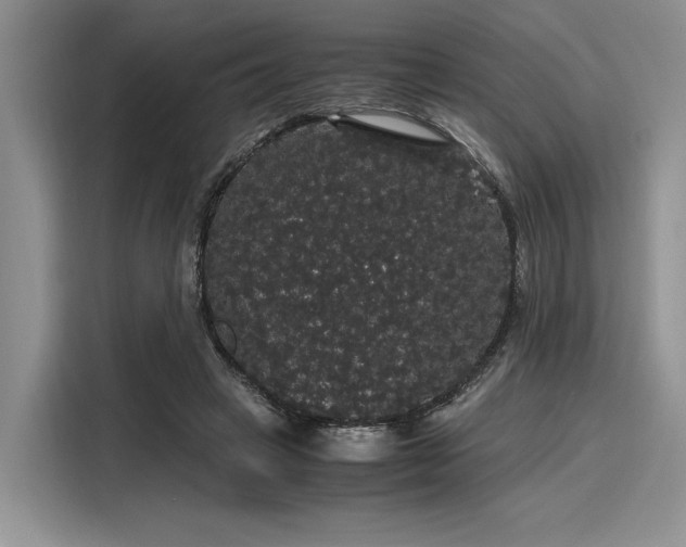 X0000116120449200911301330