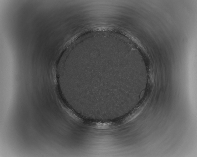 X0000116120450200911301330