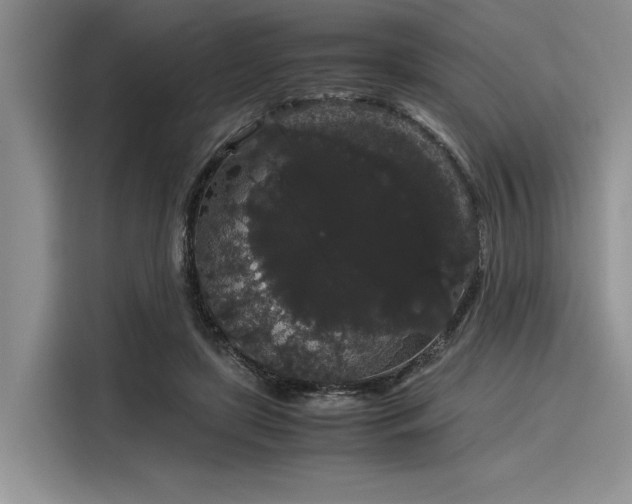 X0000116120451200911301330