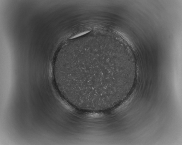 X0000116120453200911301330