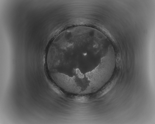 X0000116120454200911301330