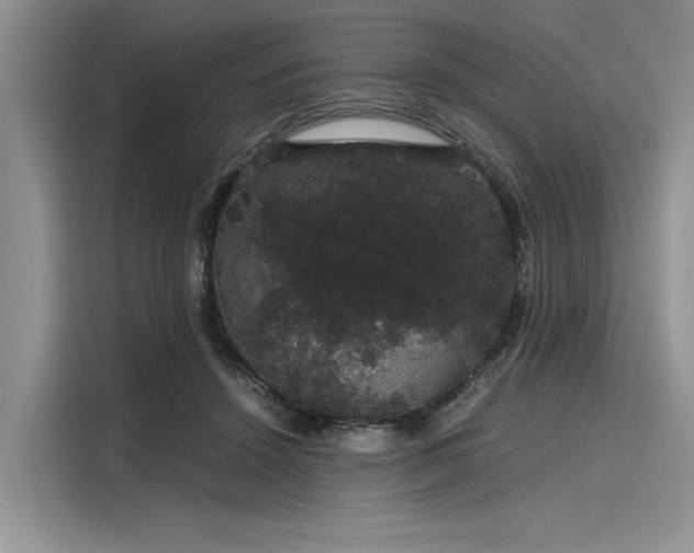 X0000116120456200911301330