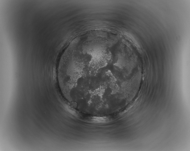 X0000116120457200911301330