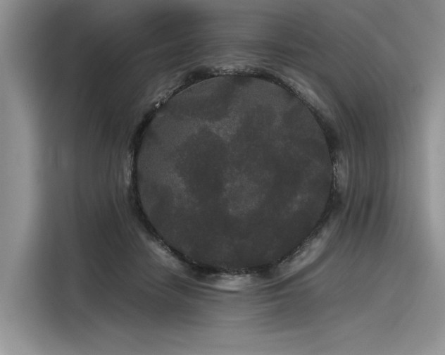 X0000116120458200911301330