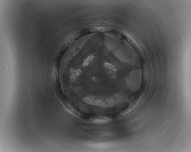 X0000116120459200911301330