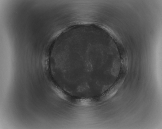 X0000116120462200911301330