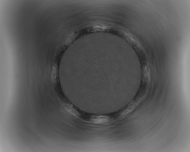 X0000116120463200911301330