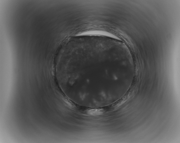 X0000116120465200911301330